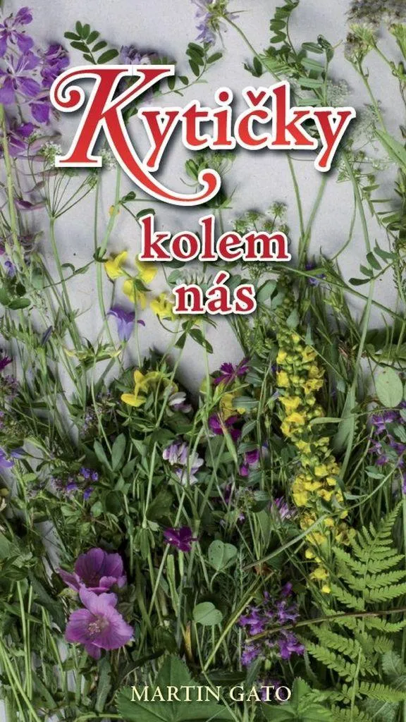 Kytičky Kolem Nás : Identifiez enfin les Plantes de votre Environnement
