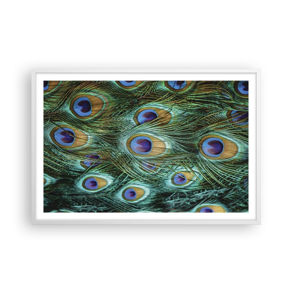 Gerahmtes Poster - Weißer Rahmen - Pfauen Feder Makro - 91,5x61 cm - Wand Bild - Wanddeko - Wandbilder - Kunstposter - Wandposter - Bilderrahmen -...