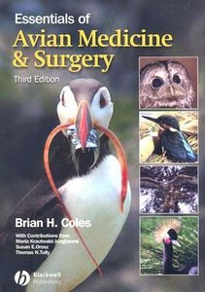 Grundlagen der Vogelmedizin und -chirurgie