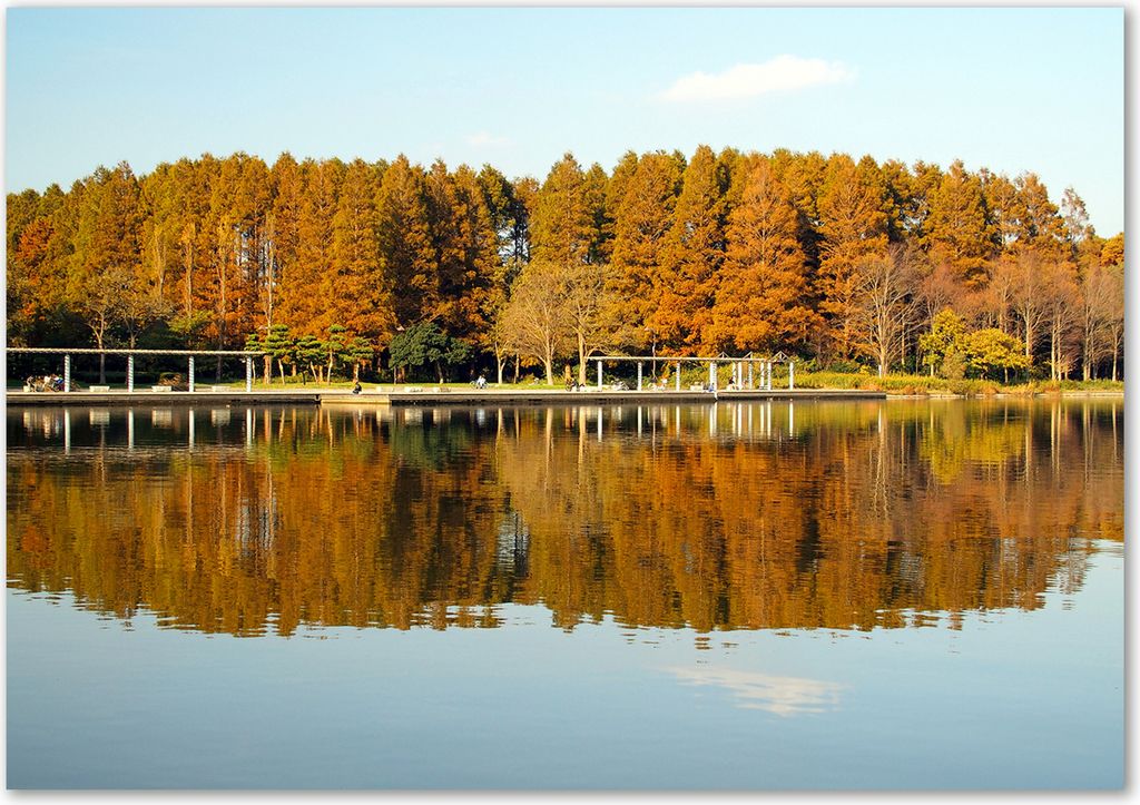 Tulup Glas-Bild - 100 x 70 - Wandbild aus Glas - Wandkunst - Wandbild hinter gehärtetem Sicherheitsglas - Landschaften - Wald am See - Orange