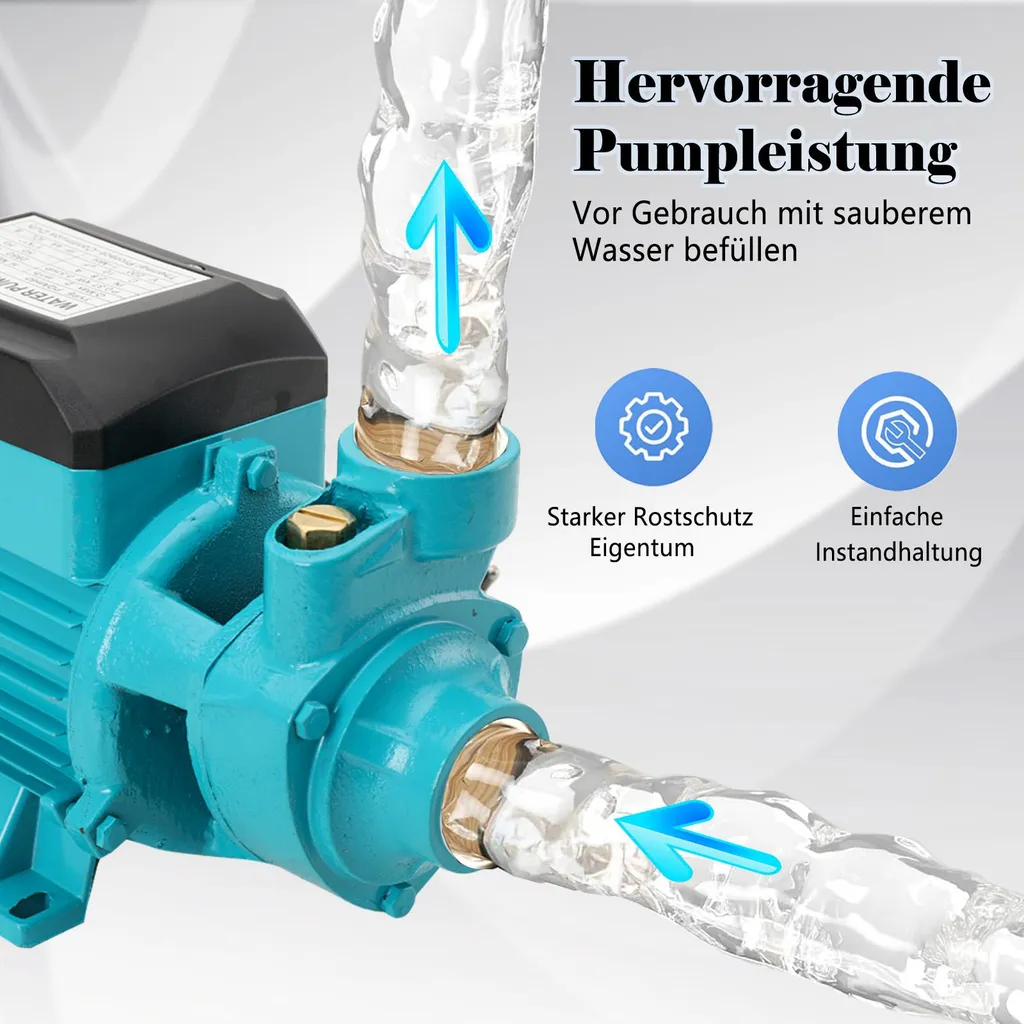 Pompe de surface auto-amorçante UE pour arrosage et jardinage - 2