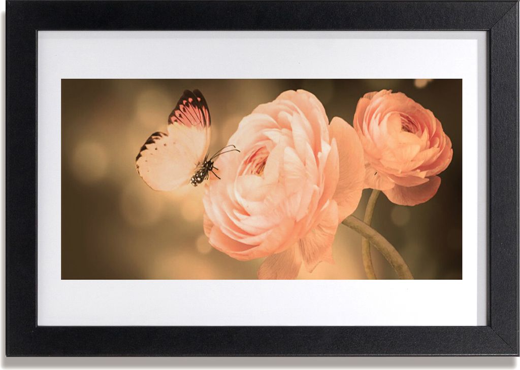 Bild 30x20 MDF-Rahmen Wandkunst Schmetterling Rosen Natur