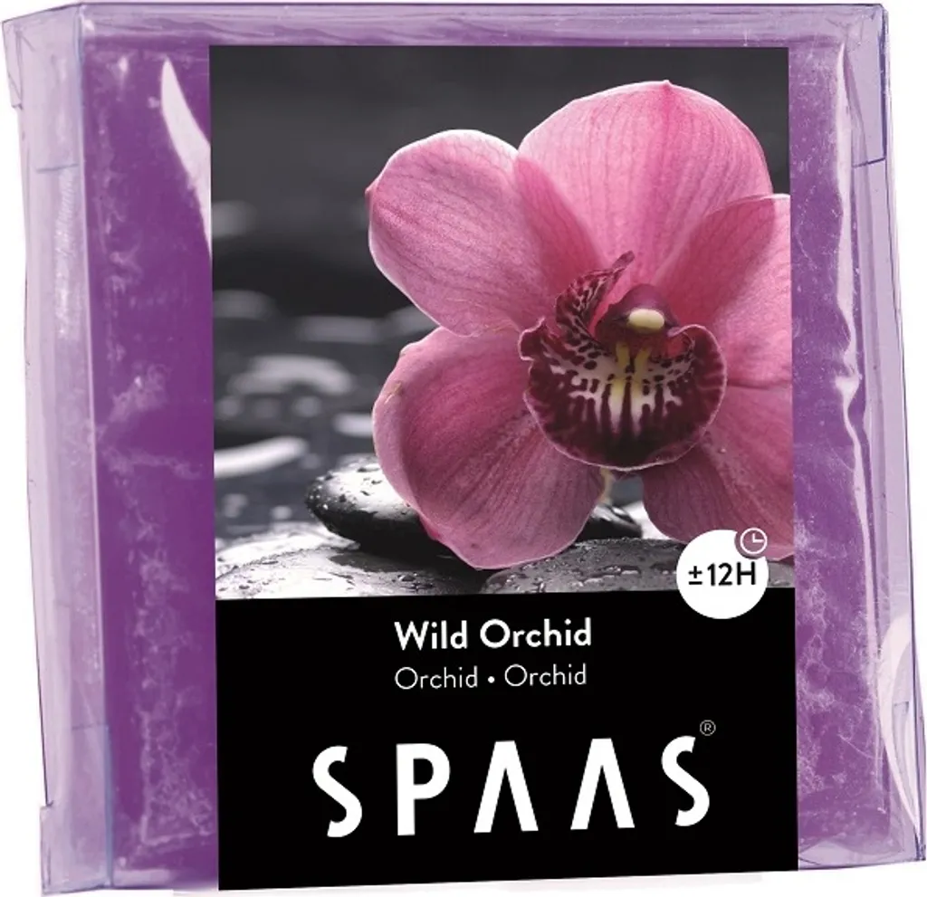 Orchidea Regalo Speciale - Pianta in Confezione Esclusiva