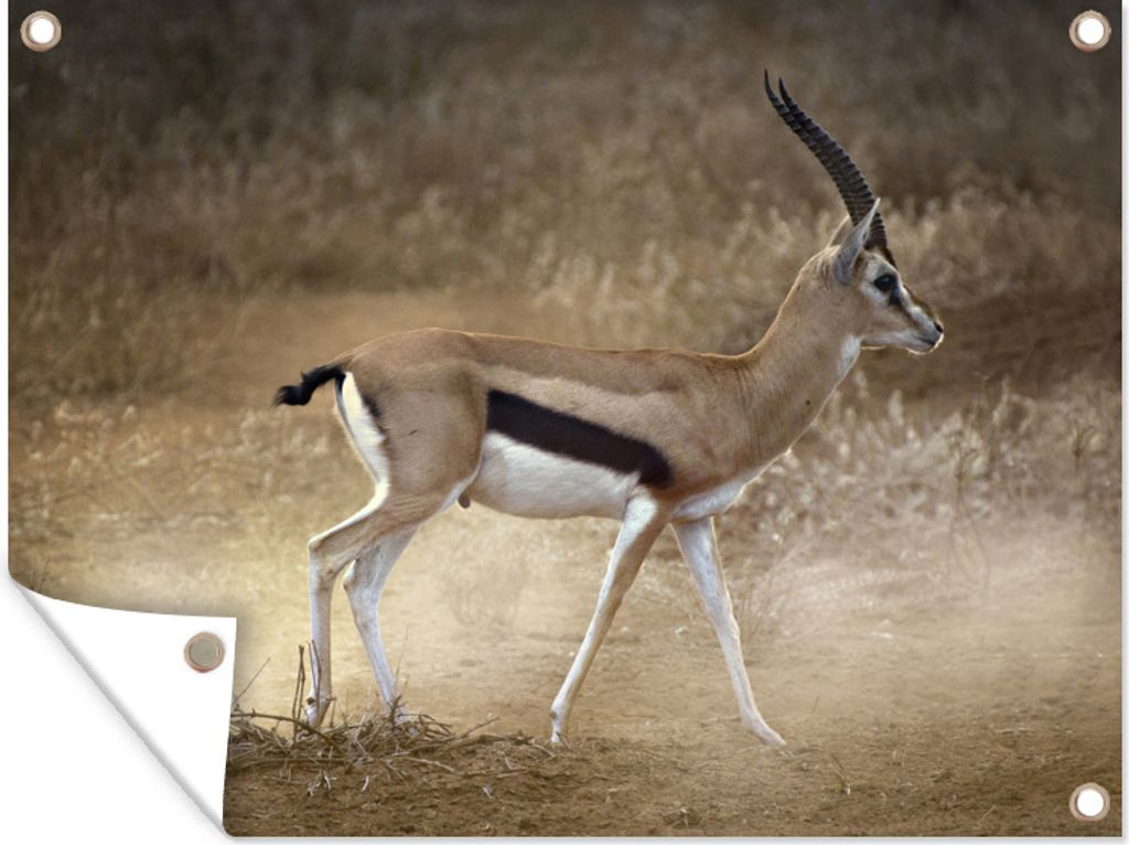 MuchoWow 40x30 cm Outdoor-Poster Gartendeko Sichtschutz Garten Poster für den Garten Gazelle - Stoff - Safari