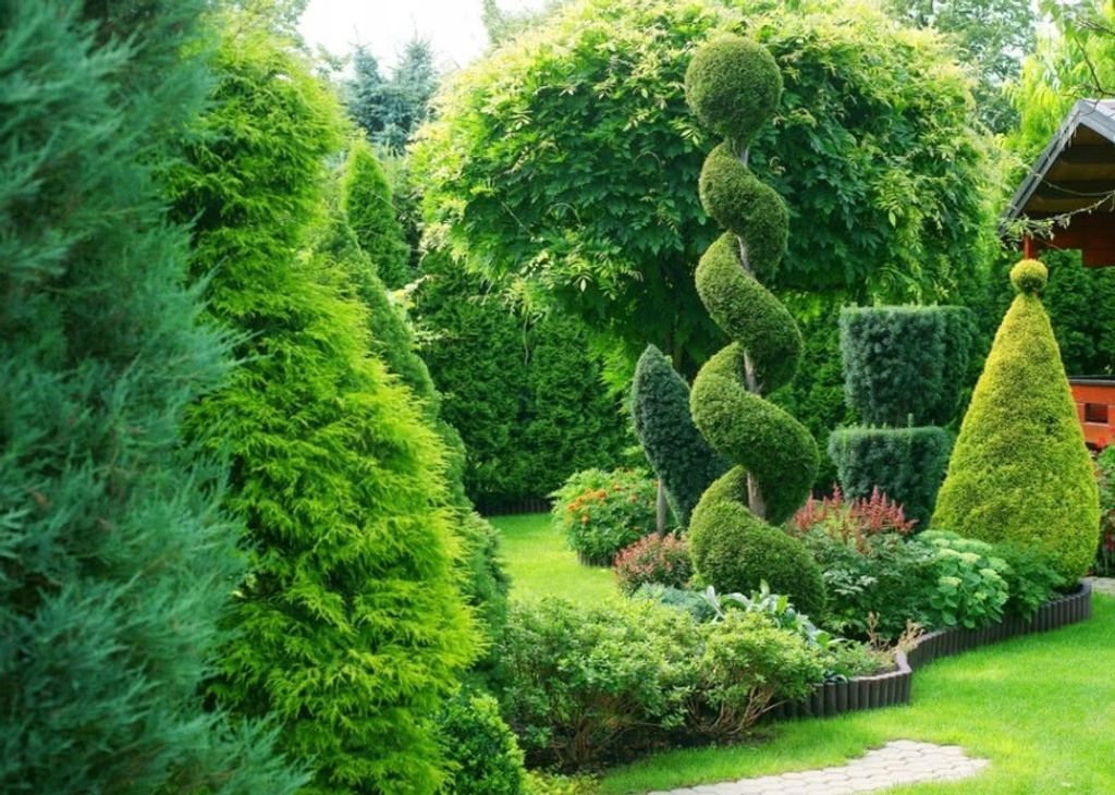 Thuja Dnger Lebensbaum Spezialdnger Edel Smaragd Brabant