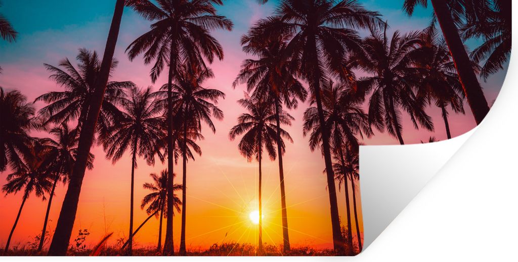 MuchoWow Wandtattoo Wandsticker Wandaufkleber Palme - Sonnenuntergang - Horizont - Strand - Orange - Rosa 160x80 cm Selbstklebend und Repositioni...