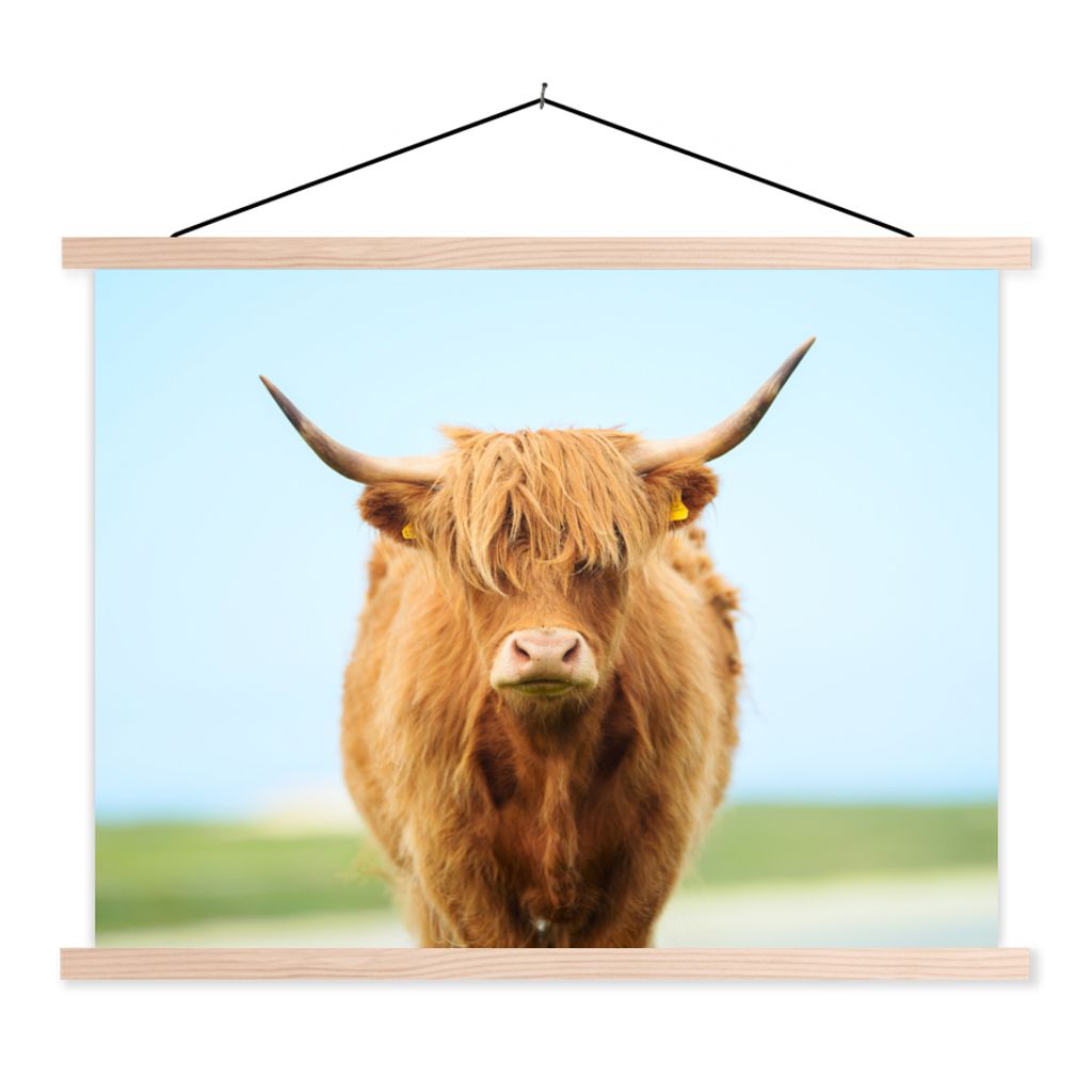 MuchoWow Textilposter Schottischer Highlander - Haare - Gras 120x90 cm mit holzfarbenen Rahmen - Magnetisch