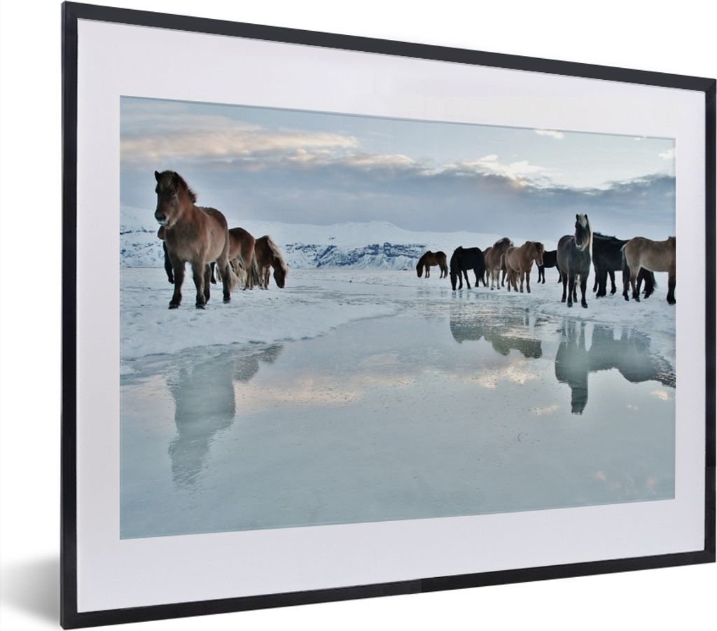 MuchoWow® MuchoWow® Gerahmtes Poster Pferde - Eis - Schnee Produktbild 