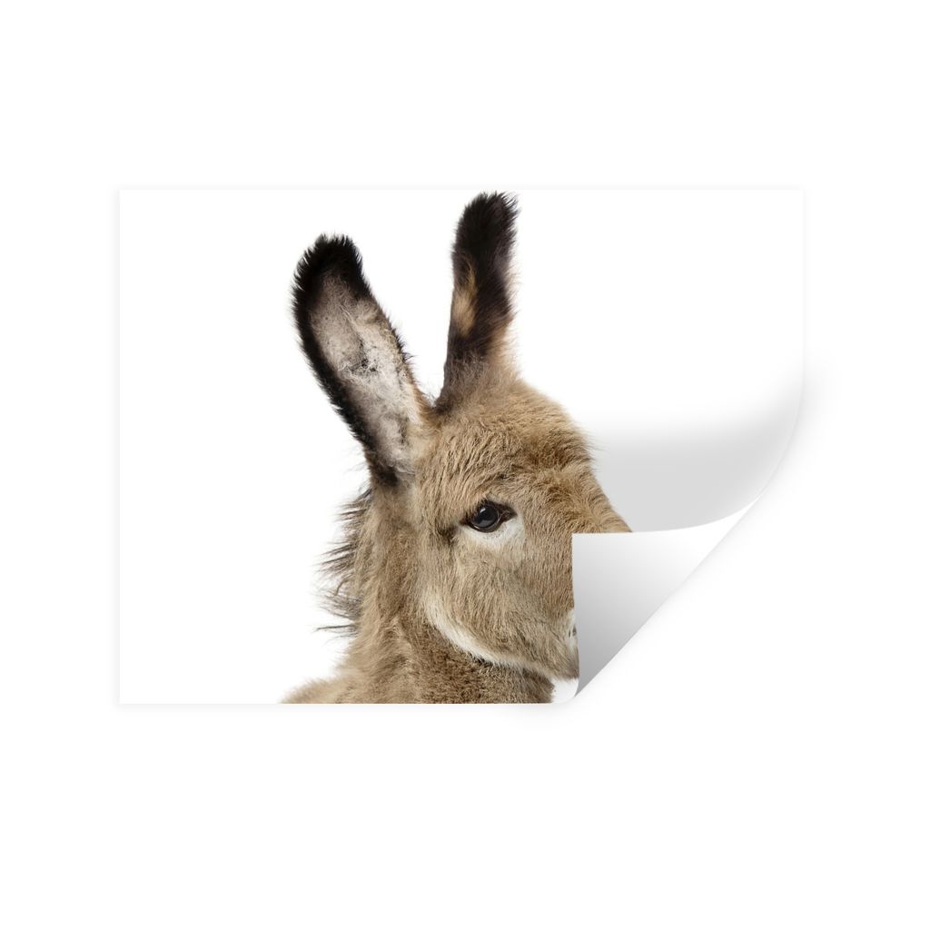 MuchoWow Wandtattoo Wandsticker Wandaufkleber Esel - Braun - Tiere - Natur 80x60 cm Selbstklebend und Repositionierbar - Faltenfrei