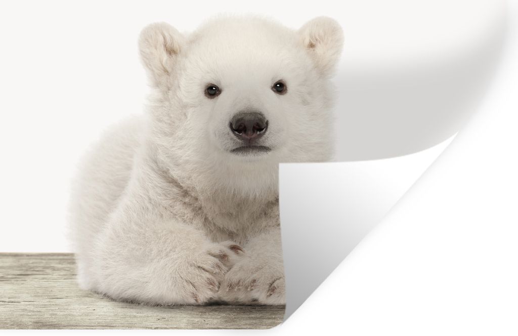 MuchoWow - Repositionierbar - Wasser abweisend