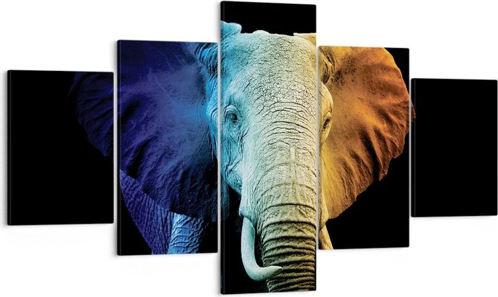 Bild auf Leinwand - Leinwandbild - 5 Teile - Bunt Elefant Fotografie - 125x70cm - Wand Bild - Wanddeko - Wandbilder - Leinwanddruck - Bilder - Wand...