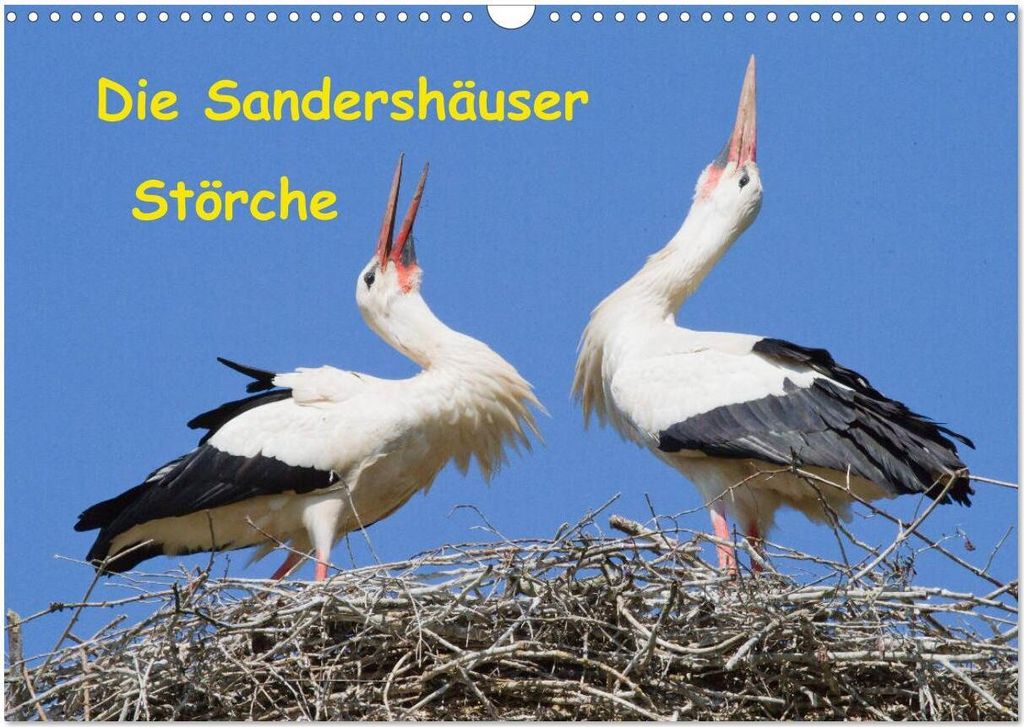 Die Sandershäuser Störche (Wandkalender 2026 DIN A3 quer), CALVENDO Monatskalender