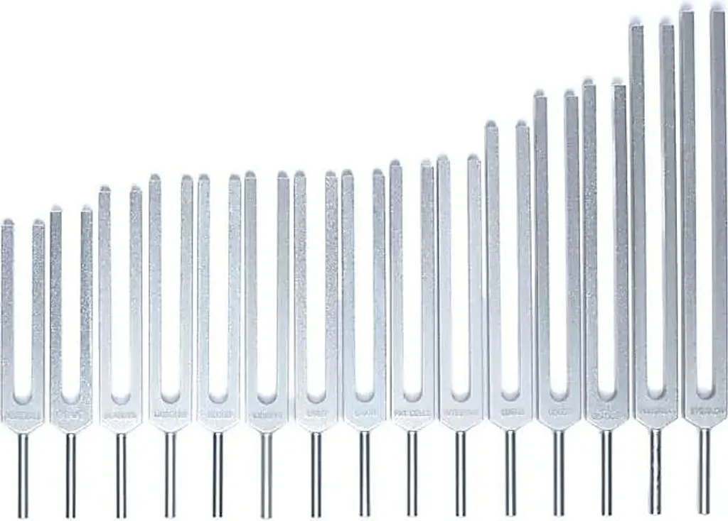 Diapason Organes Humains 69x29 Cm : Ne cherchez plus vos fréquences !