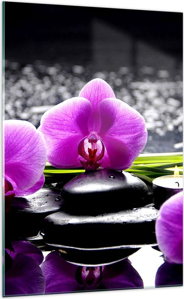 Bilder auf glas - Einteilig - Orchidee Natur Wasser Blume - 70x100cm - Glasbilder - Wandbilder - Bilder - Wanddekoration aus Glas - Glas Bilder - W...