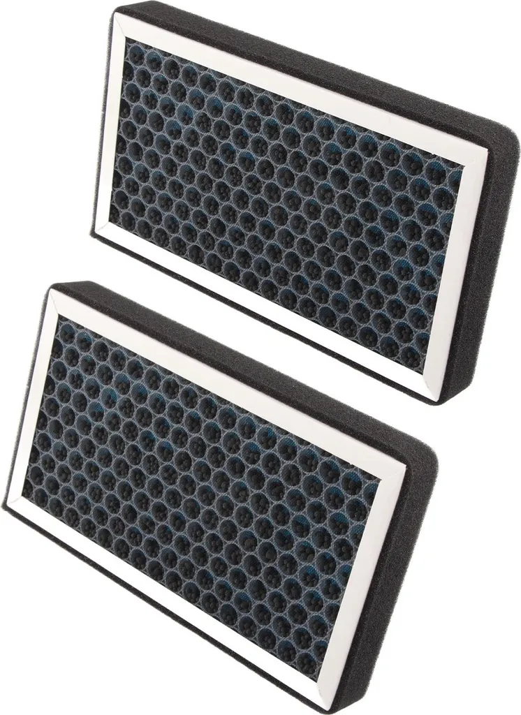 Double Filtre à Air Anti-Odeur au Charbon Actif pour Tesla Model 3 et Y