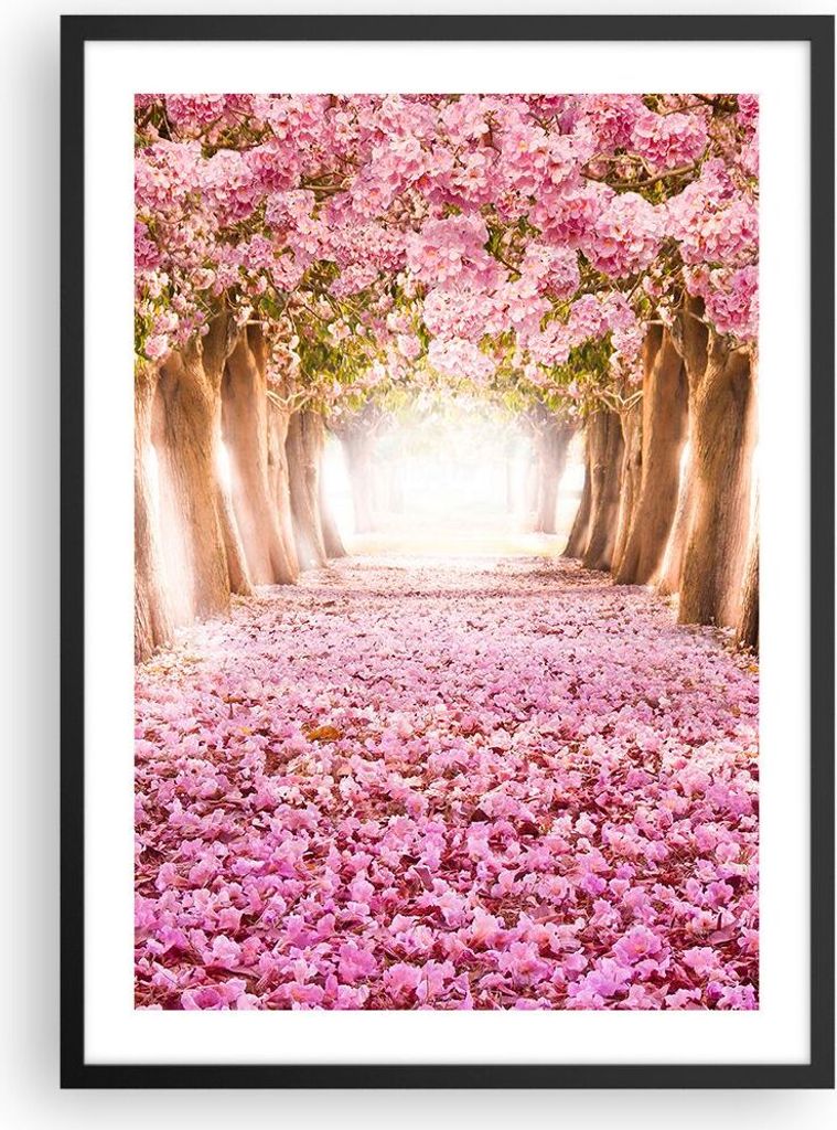Gerahmtes Poster - Schwarzer Rahmen - Baum Blumen Kirsche Natur - 50x70 cm - Wand Bild - Wanddeko - Wandbilder - Wandposter - Bilderrahmen - Bilder...