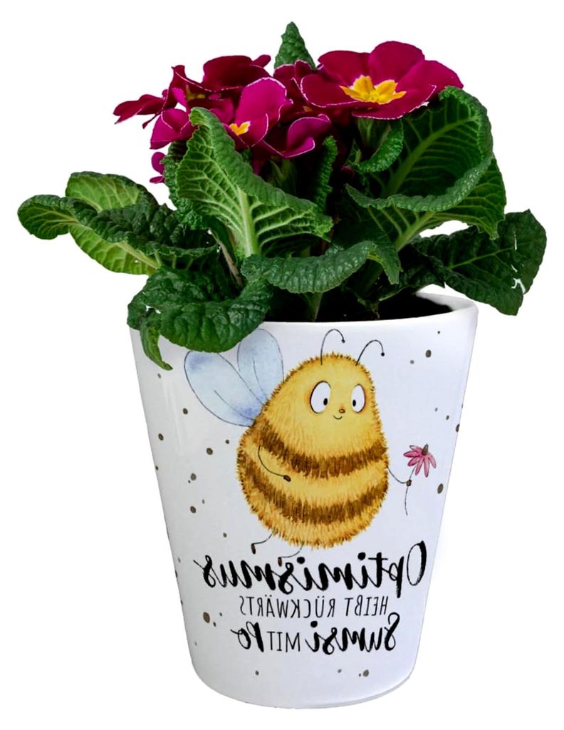 Pummel Biene Blumentopf mit Spruch Optimismus heißt rückwärts Sumsi mit Po EIN bunter Pflanzentopf für die Fensterbank Motiv Hummel Übertopf F...
