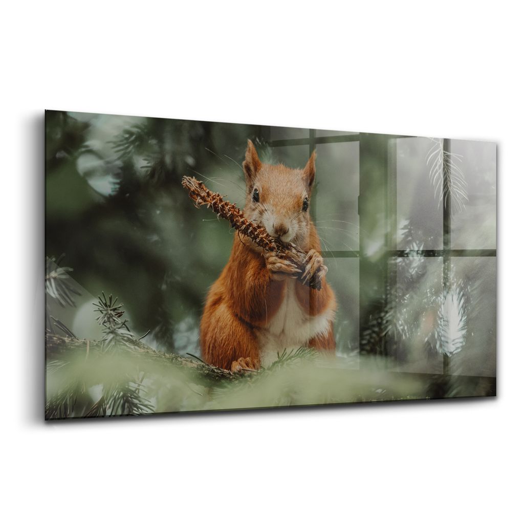 Glasmalerei - dekorative Malerei - moderne Malerei - 140x70 - Eichhörnchen wilde Natur