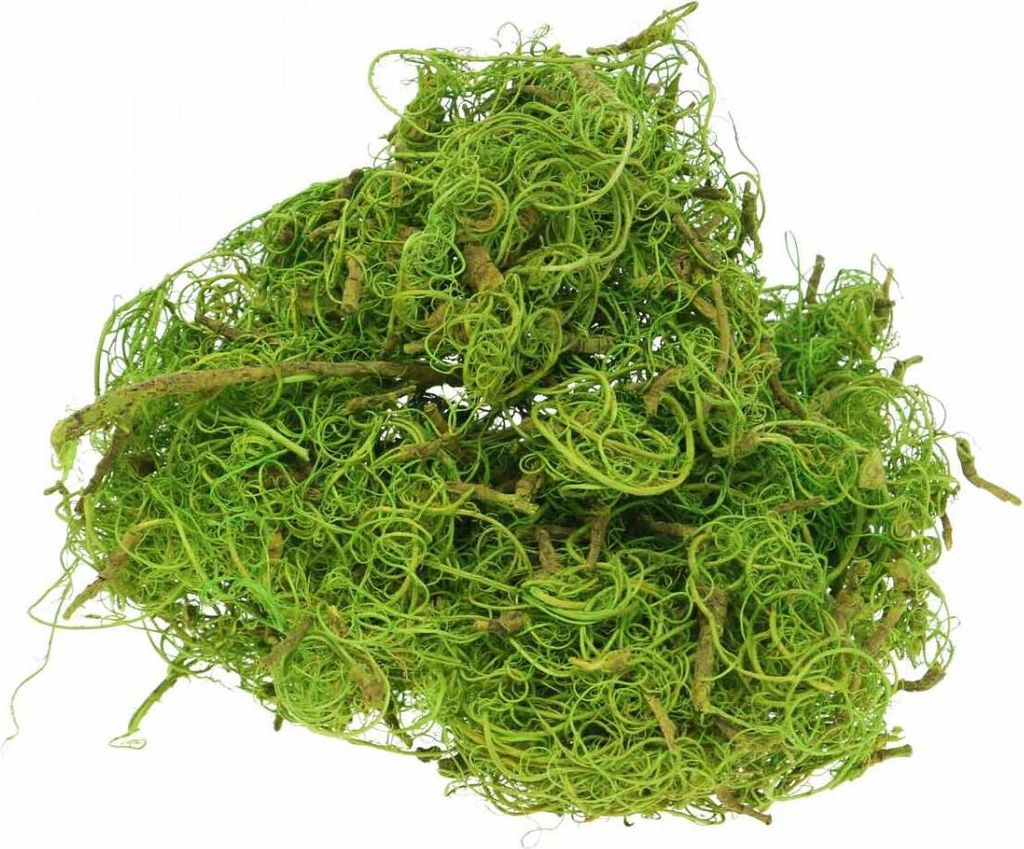 Tamarindenfaser Exotisch Bastelmaterial Deko für Tisch und Floristik