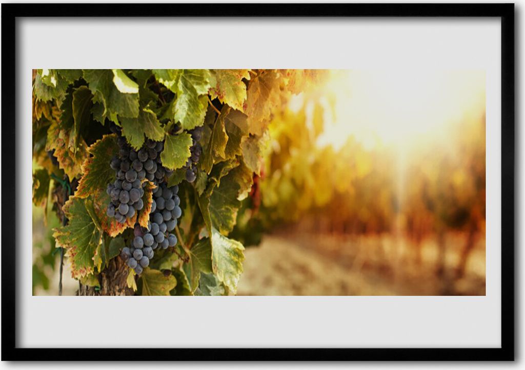 Bild 100x70 MDF-Rahmen Wandkunst Weinblätter Küche