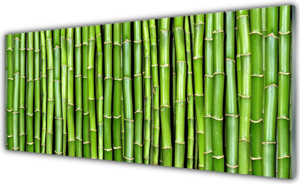 Acrylglasbilder 125x50 Wandbild Druck Bambus Pflanzen