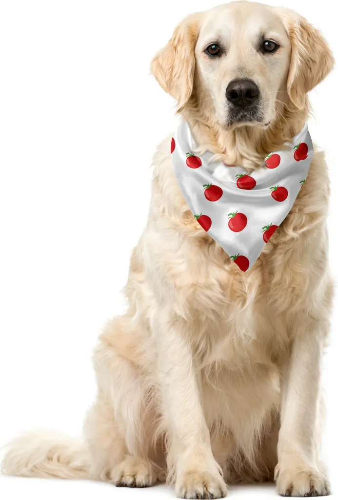 Sciarpa per Cani e Gatti ABAKUHAUS - Allegro Motivo Pomodoro 40x40