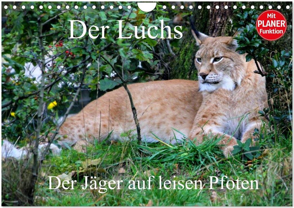 Der Luchs - Der Jäger auf leisen Pfoten (Wandkalender 2026 DIN A4 quer), CALVENDO Monatskalender