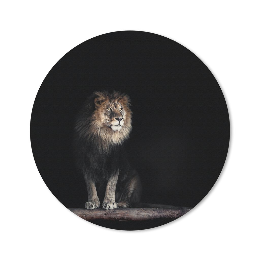 MuchoWow Mauspad Mousepad Löwe - Licht - Porträt 40x40 cm - Mousepads - Maus Mat - Pad - Mausunterlage - Schreibtisch Accessoires