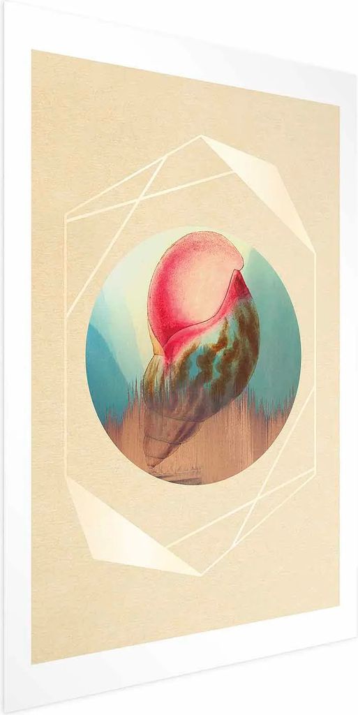 Posterpapier Poster - Shell 40x60 cm Abstrakt n-A-0849-ao-a
