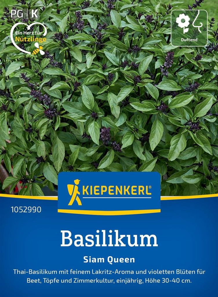 Kiepenkerl Basilikumsamen Siam Queen Ocimum basilicum 150 Pflanzen