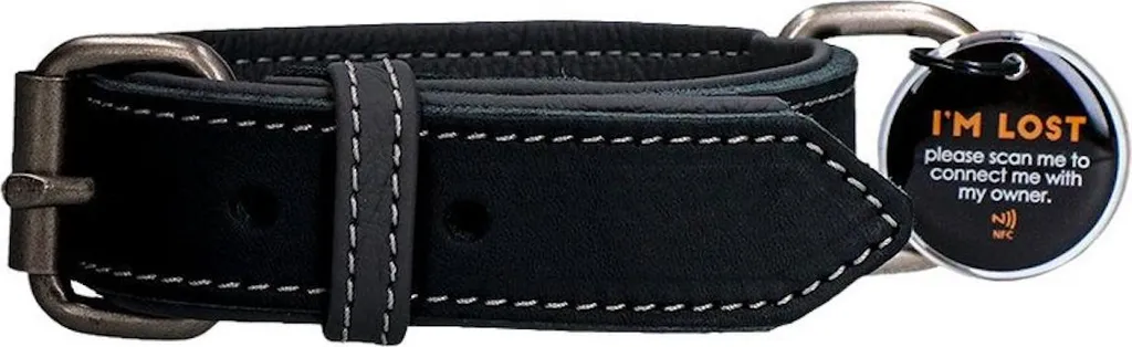 Collare in Pelle Nera Avvistato! Pro: Stile Urban e Comfort Premium