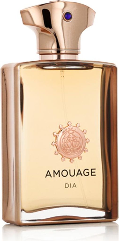 Amouage Dia Man EDP 100 ml M