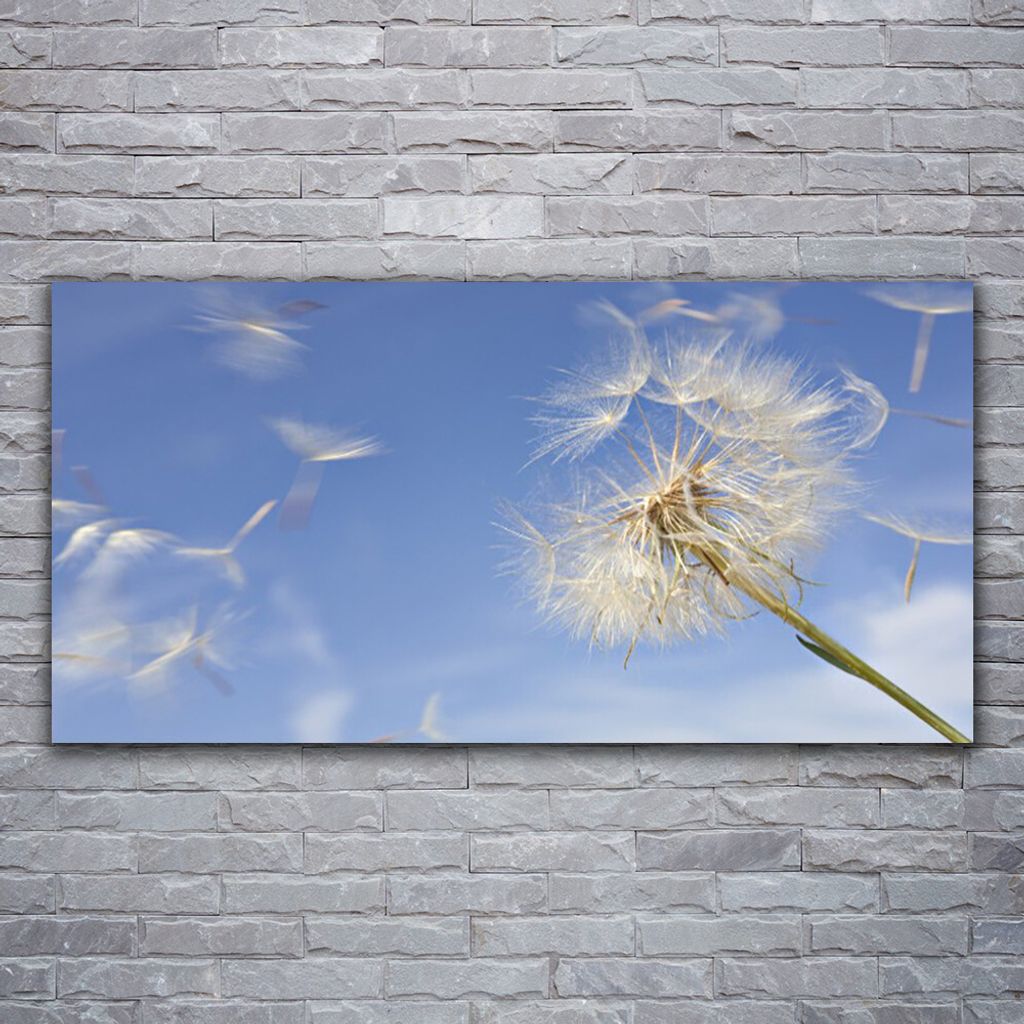 Glasbilder 120x60 Wandbild Druck auf Glas Pusteblume Pflanzen