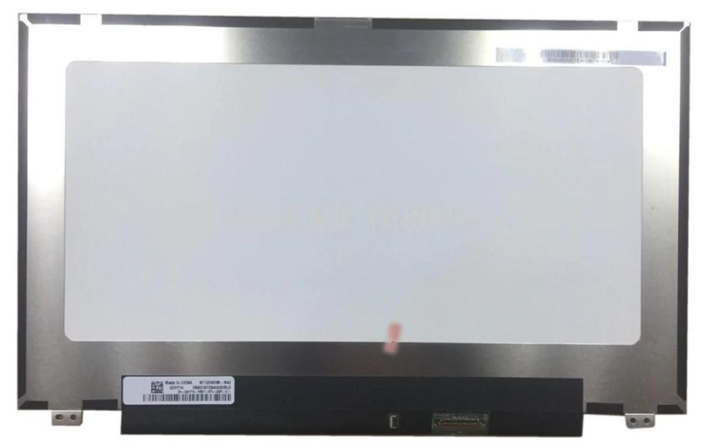 CoreParts MSC125H30-256M Notebook-Ersatzteil Anzeige (MSC125H30-256M)