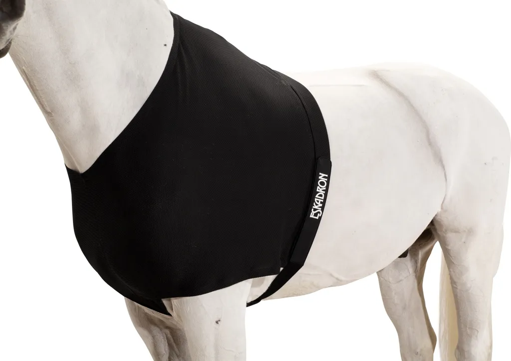Eskadron Brustschutz noir contre les frottements de couverture Cob
