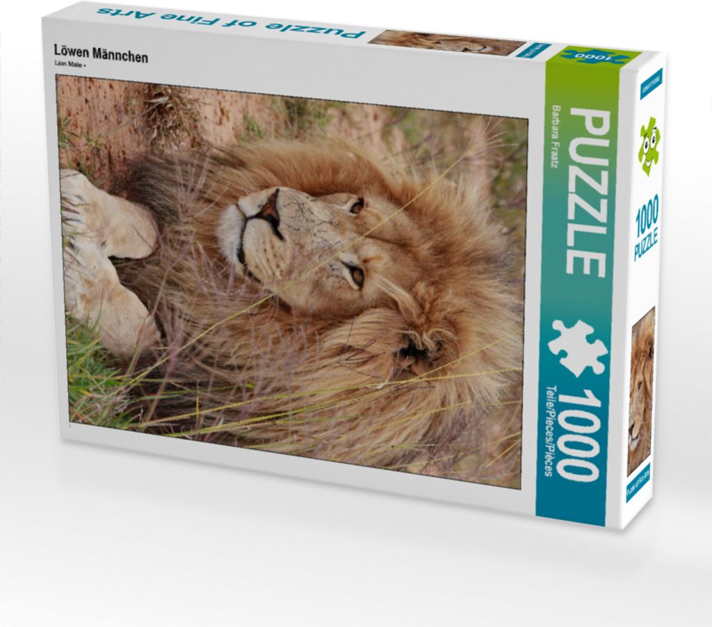CALVENDO Puzzle Löwen Männchen | 1000 Teile Lege-Größe Produktbild 