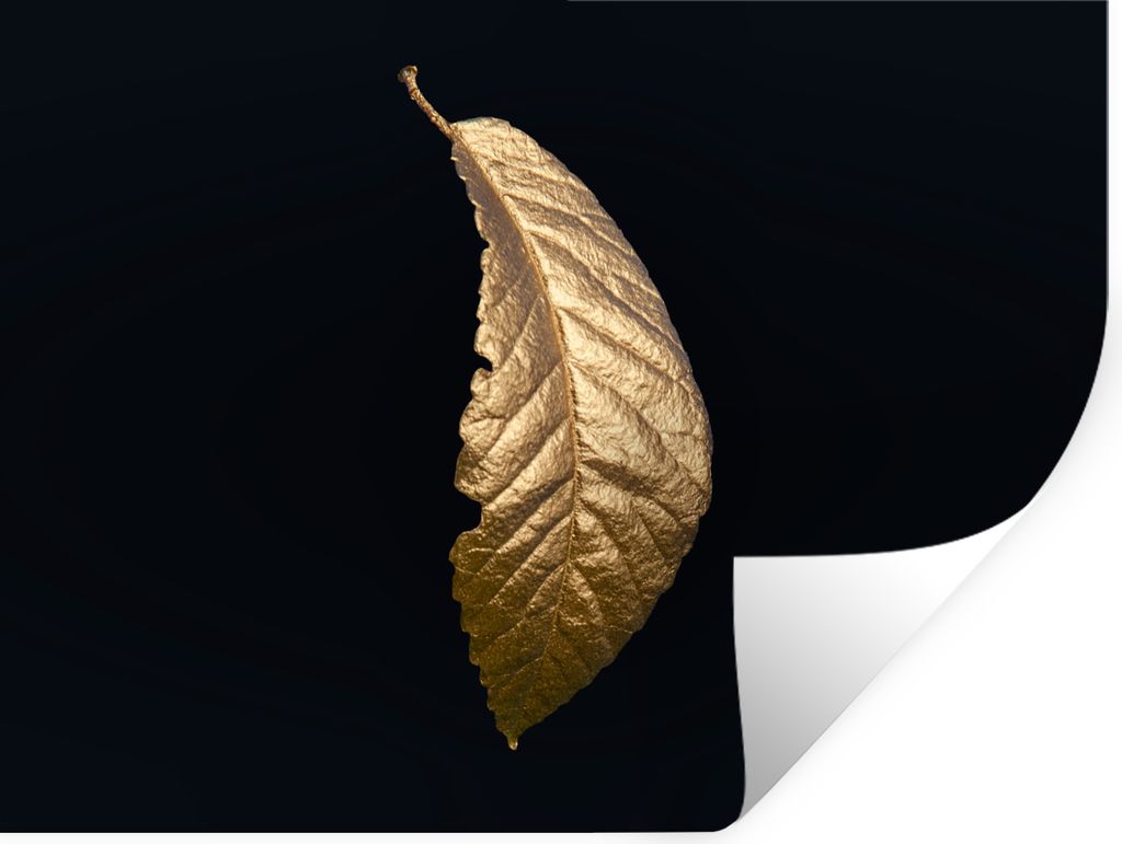 MuchoWow Wandtattoo Wandsticker Wandaufkleber Blätter - Luxus - Gold - Schwarz - Natur 120x90 cm Selbstklebend und Repositionierbar - Aufkleber