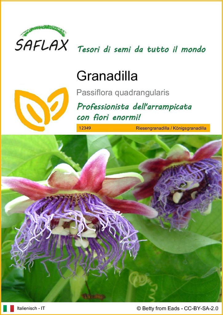 SAFLAX  - Granadilla - 12 semi - Passiflora Immagine del prodotto 