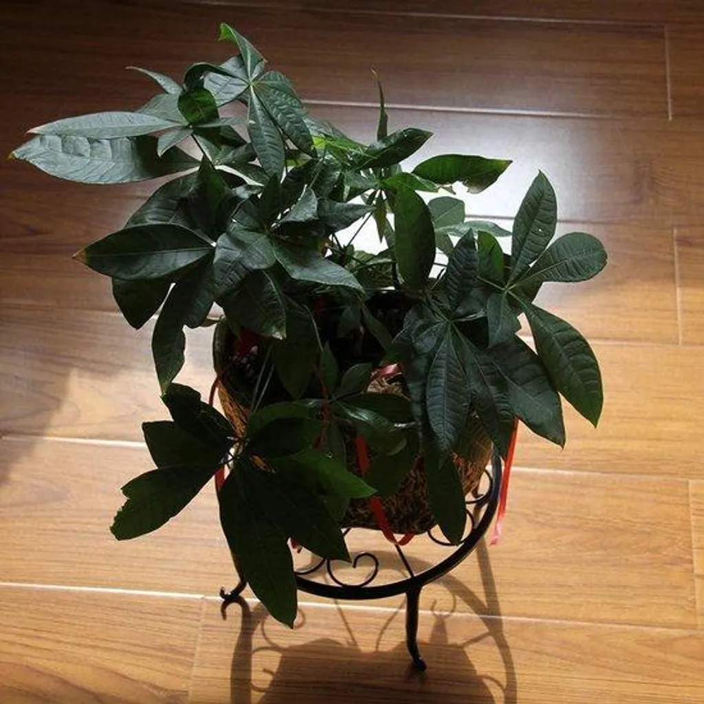 Support fleurs balcon et table d'intérieur en métal noir lot de deux
