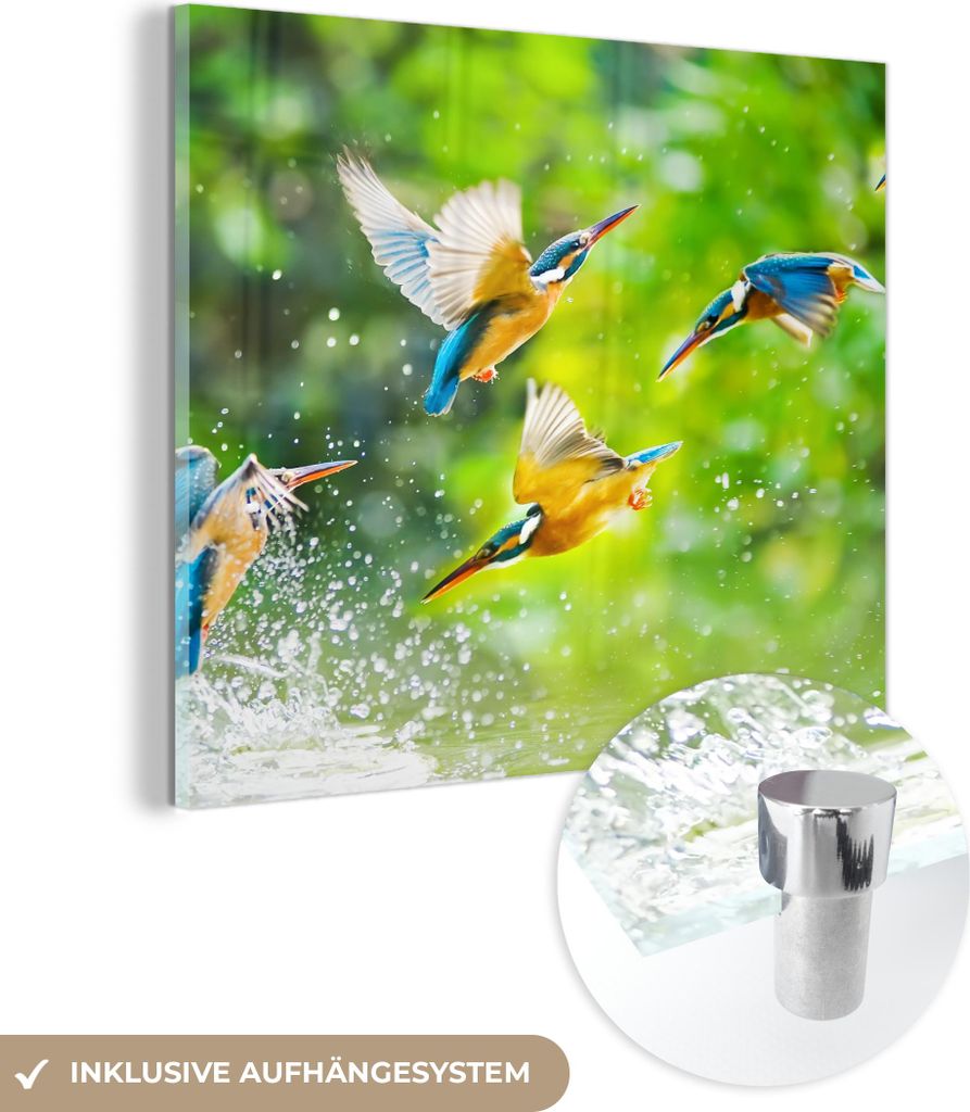 MuchoWow Glasbilder - Bilder auf Wandbild - Foto auf Glas Vögel - Eisvogel - Tiere - Wasser 20x20 cm Wanddekoration aus Glas - Acrylglasbild - Acr...