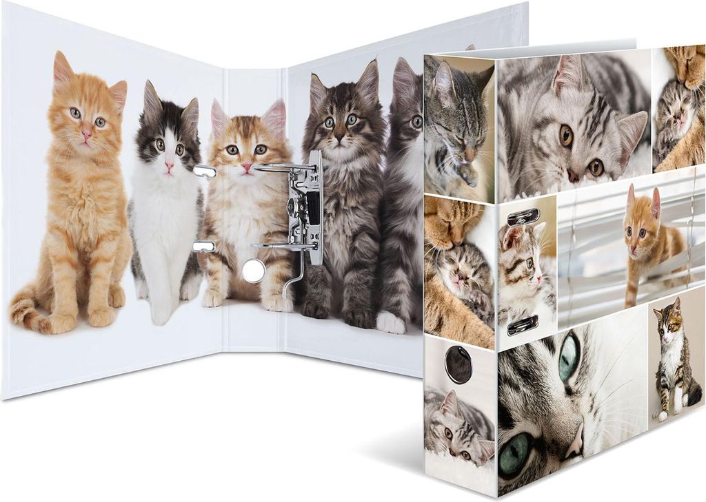HERMA Motivordner "Animals" DIN A4 Katzen