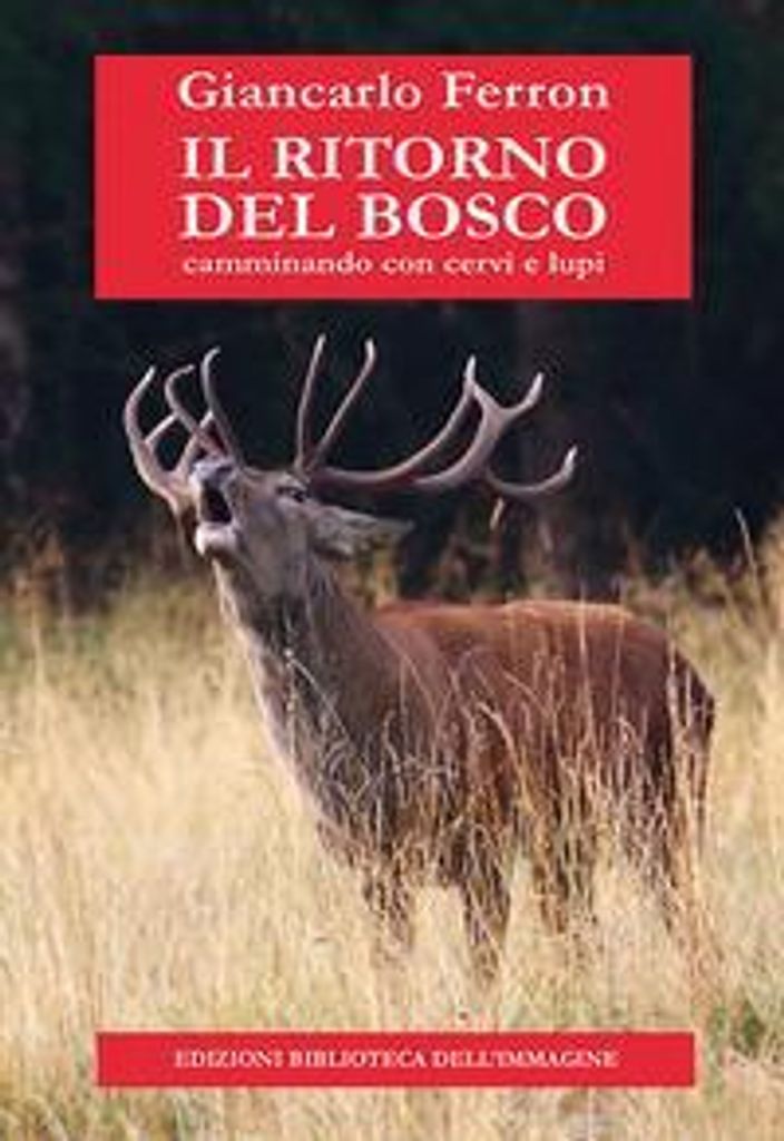 Ferron, G: Ritorno del bosco. Camminando con cervi e lupi