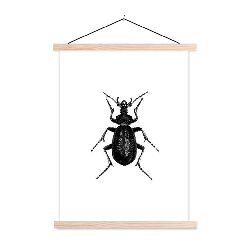 MuchoWow Textilposter Schwarz und weiß - Käfer - Vintage - Insekten 60x80 cm mit holzfarbenen Rahmen - Wandbild