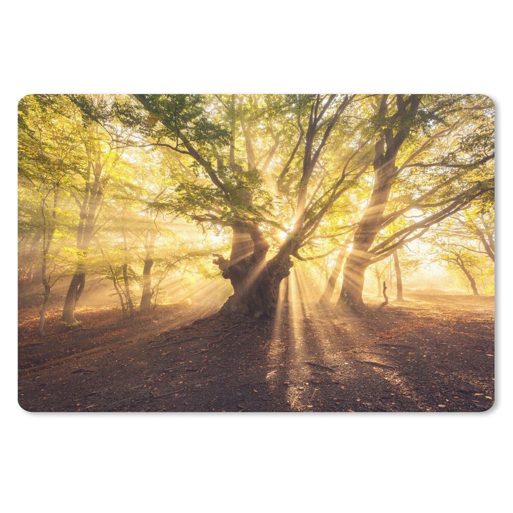 MuchoWow Mauspad Mousepad Baum - Wald - Sonne 27x18 cm - Mousepads - Maus Mat - Pad - Mausunterlage - Büroartikel - Desk Matten