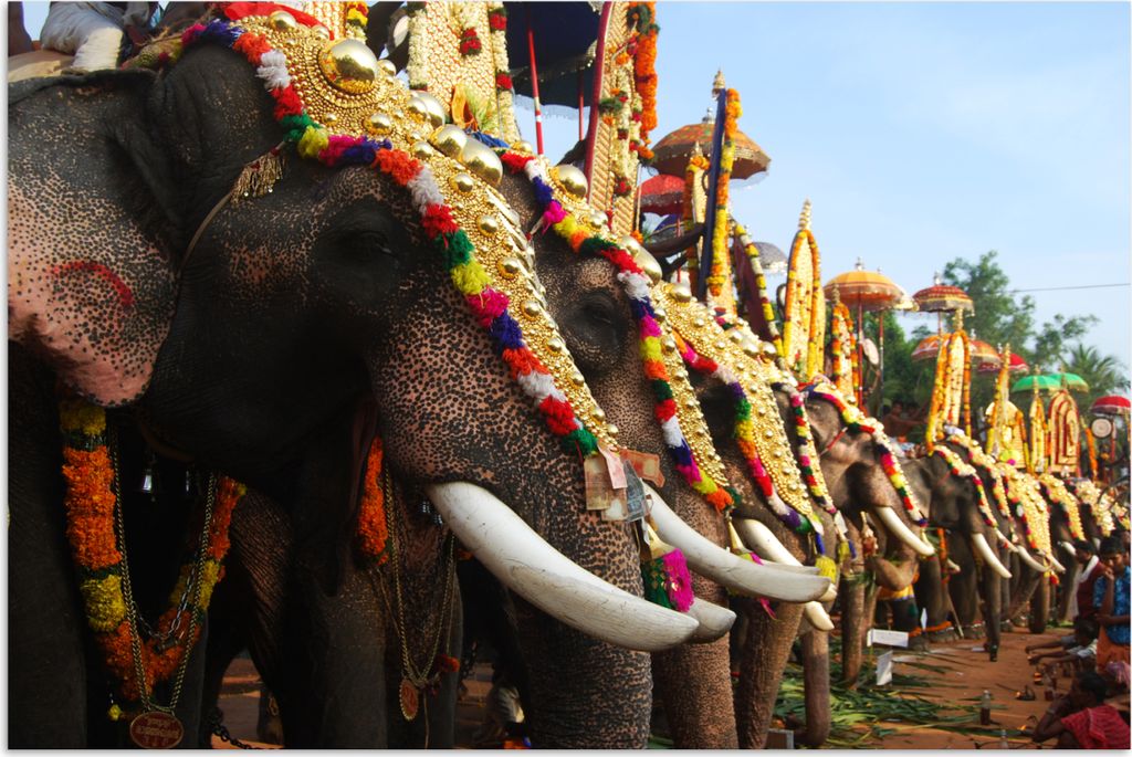 MuchoWow Poster Elefant - Parade - Tiere 180x120 cm - Fotoplakat