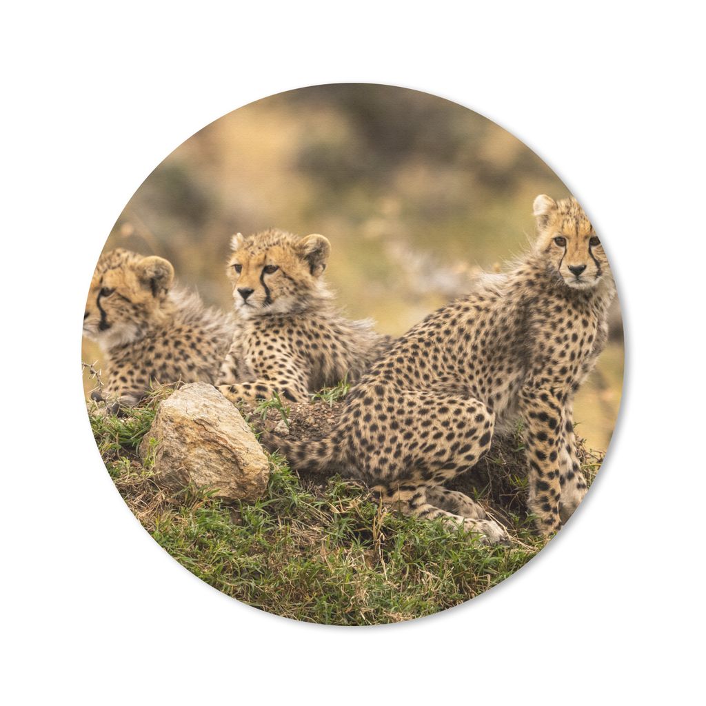 MuchoWow Mauspad Mousepad Leopard - Wald - Tier 20x20 cm - Mousepads - Maus Mat - Pad - Mausunterlage - Schreibtischmatte