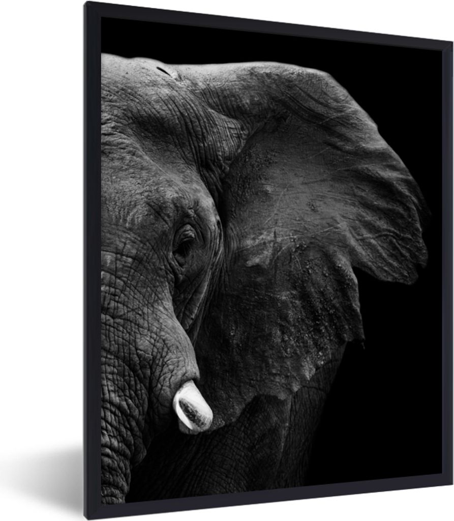 MuchoWow Gerahmtes Poster Tiere - Elefant - Wild - Schwarz - Weiß 30x40 cm - Poster mit Schwarzem Bilderrahmen Wandposter Rahmen Foto Bilder - W...