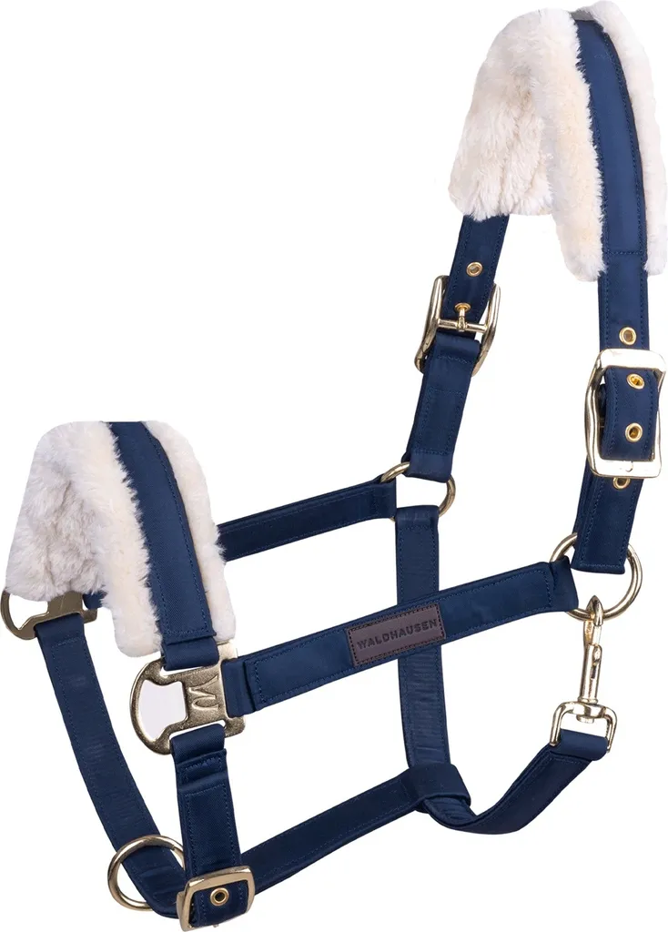 Licol d'Équitation Waldhausen Exclusive Taille Cob Bleu - Confort Optimal