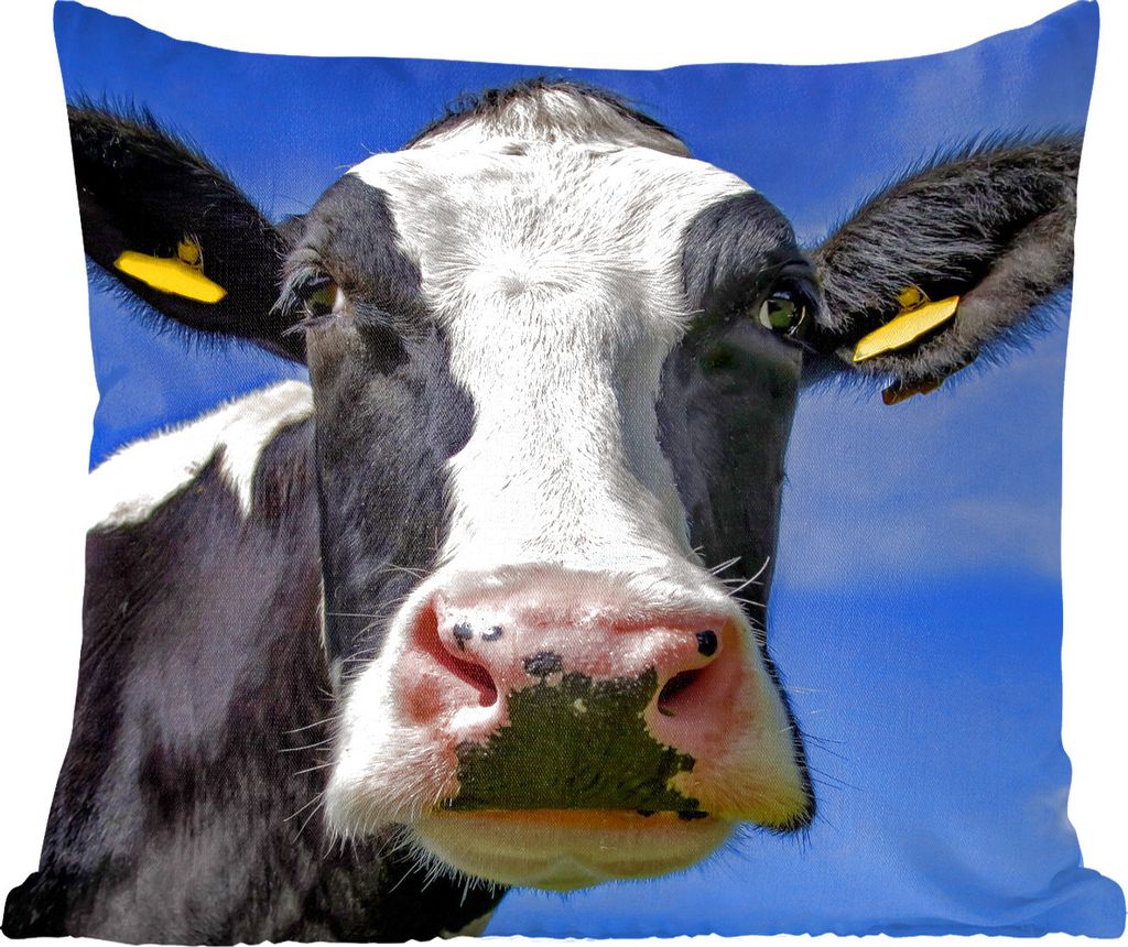 MuchoWow Zierkissen Sofakissen Wohnzimmer Dekokissen 60x60 cm Kuh - Blau - Tiere - Sitzfläche - Foto Polster