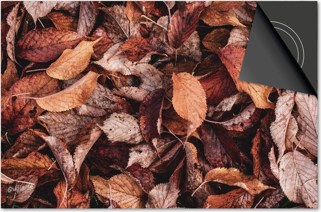 Induktionsschutz 76x51,5 - abdeckplatte Induktion matt- Dietrix Kochfeldschutz- DELUXE - Herbst - Herbst Blätter